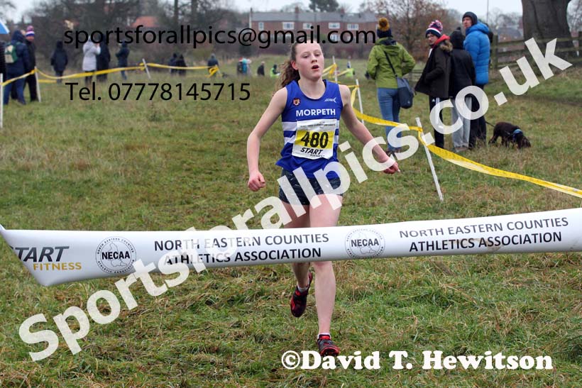 Womens under-17s and under-20s, 2021 North Eastern Cross Country Championships, Sedgefield. Photo: David T. Hewitson/Sports for All Pics